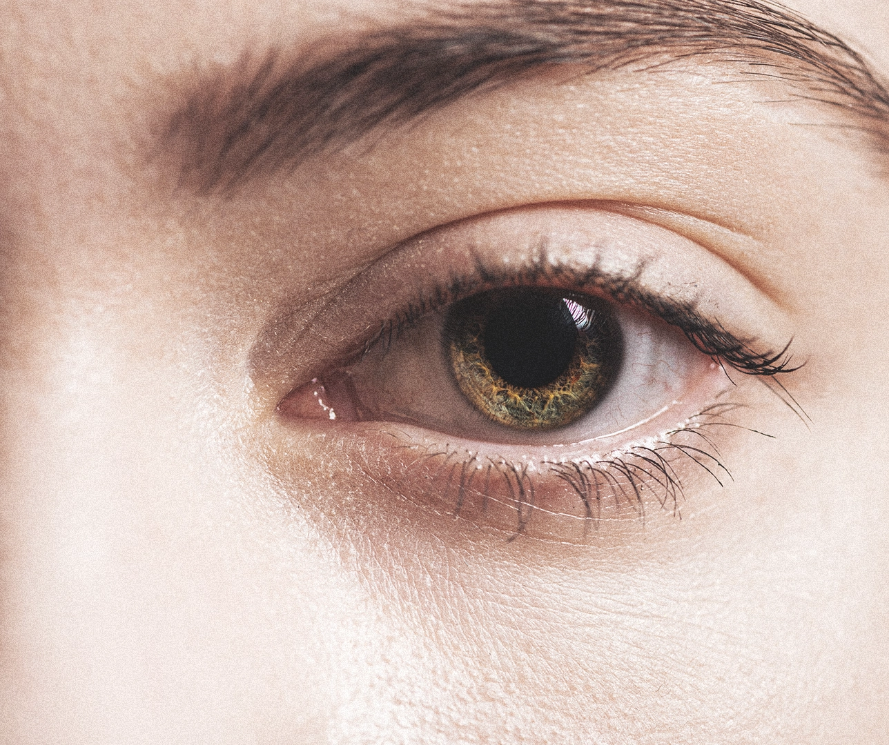 abogado derecho penal especialista en violencia de género.